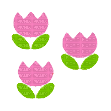 My Sweet Memories pink tulips - ingyenes png