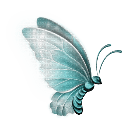 Schmetterling butterfly blau blue - ingyenes png