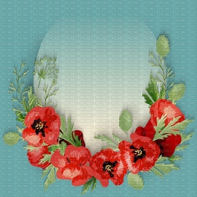 bg-frames-red-poppies - zadarmo png