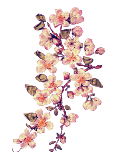 vintage flowers - δωρεάν png