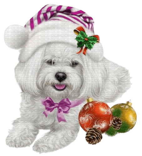 Christmas animal - бесплатно png