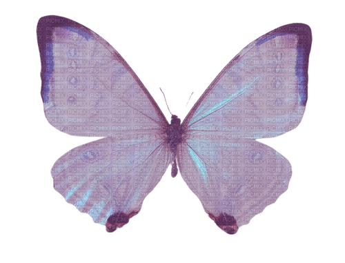 iridescent butterfly - png ฟรี