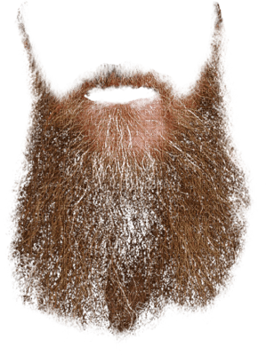 barbe - PNG gratuit