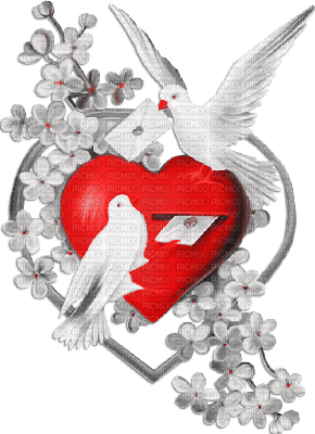 soave deco vintage dove bird  heart flowers - 無料png
