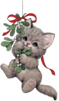 Kaz_Creations Cats Cat Kittens Kitten  Christmas - png ฟรี