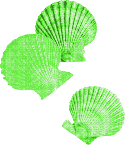 Seashells.Green - безплатен png
