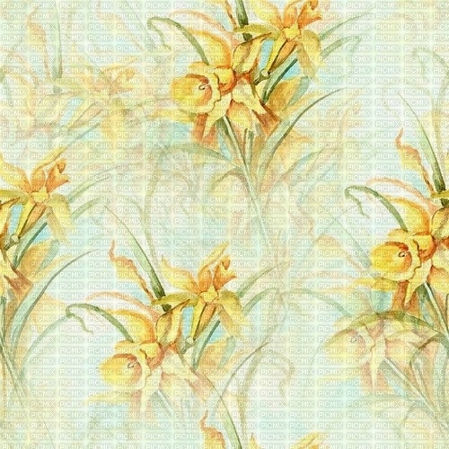 Background Daffodil - 無料png