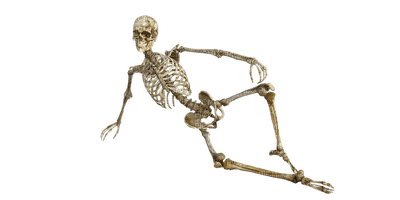 skeleton - png ฟรี
