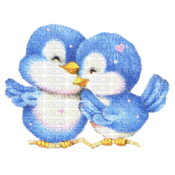 petit oiseau bleu - Bezmaksas animēts GIF