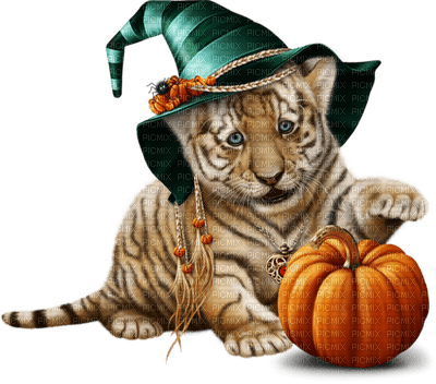 tiger  tigre animal pumpkin citrouille kürbis   autumn automne herbst   tube deco  halloween - бесплатно png