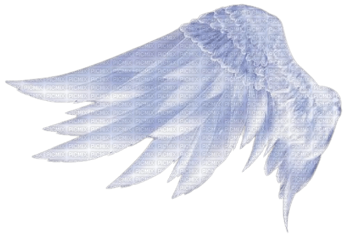 angel wings - 無料png