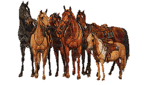 Horses.Chevaux.Western.Caballos.Victoriabea - Free animated GIF