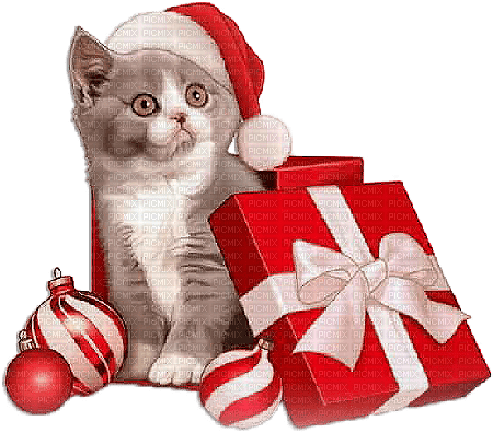 soave animals cat christmas winter - zdarma png