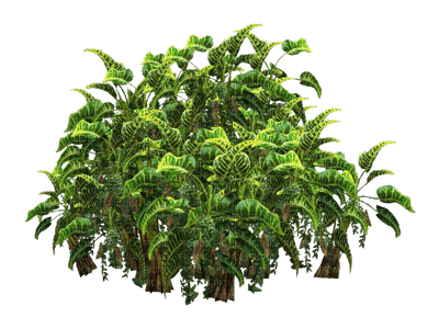 plants katrin - ingyenes png