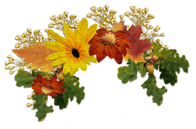 autumn - фрее пнг