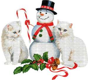 Kaz_Creations Cats Cat Kittens Kitten  Christmas - безплатен png