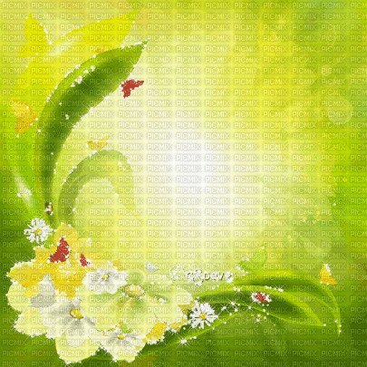 soave background animated flowers spring - 免费动画 GIF