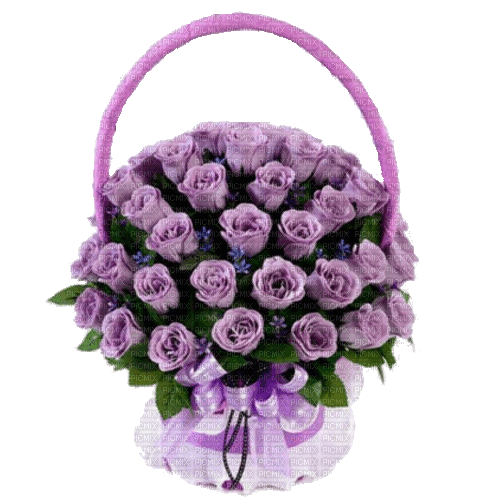 Purple Roses Bouquet - Δωρεάν κινούμενο GIF