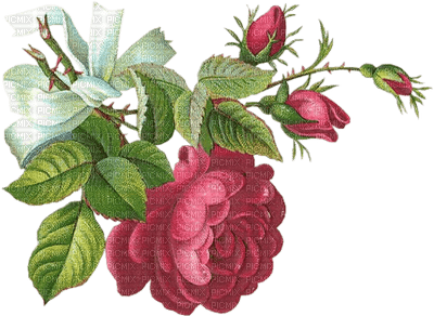 Kaz_Creations Deco Flowers Victorian - PNG gratuit