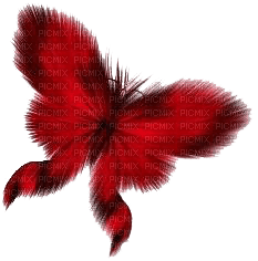 butterflies katrin - Free PNG