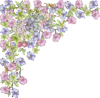 coin fleurs - GIF animate gratis