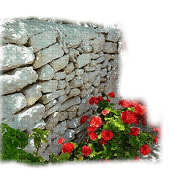 muro piedras flores dubravka4 - gratis png