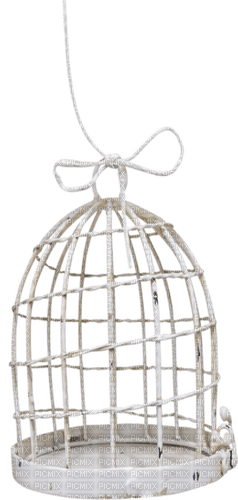 dolceluna white scrap deco tube png cage - 免费PNG