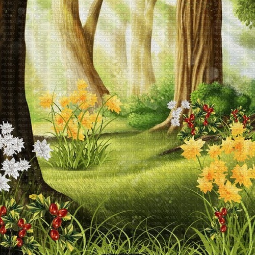 forest background by nataliplus - bezmaksas png