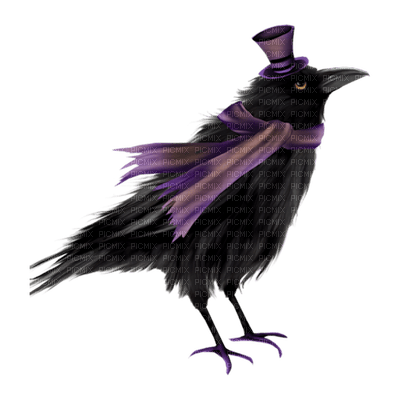 Ravens - PNG gratuit