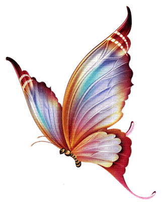 papillon.Cheyenne63 - gratis png