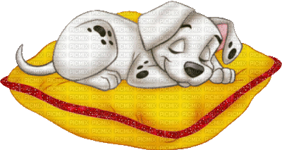 dog hund chien animal sweet sleep night nuit deco tube pillow oreiller  kissen cartoon gif anime animated animation, dog , hund , chien , animal ,  sweet , sleep , night ,