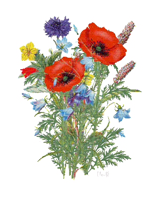 Цветы - Δωρεάν κινούμενο GIF