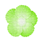 Flower, Flowers, Deco, Decoration, Green - Jitter.Bug.Girl - Free animated GIF
