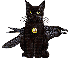 witch cat - Gratis animeret GIF
