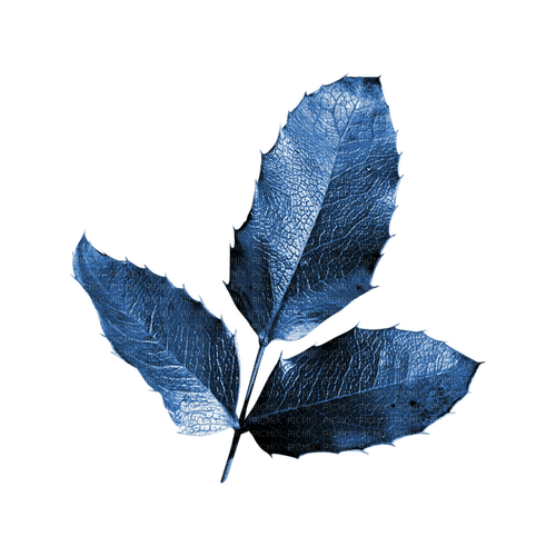 kikkapink deco scrap blue leaves - ücretsiz png