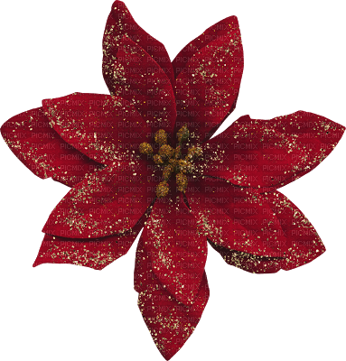 Christmas.Noël.Fleur.Red.deco.Victoriabea - png gratis