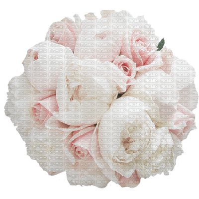 rose blanche.Cheyenne63 - gratis png