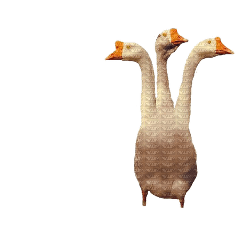 creepy ahh goose with three heads - ingyenes png