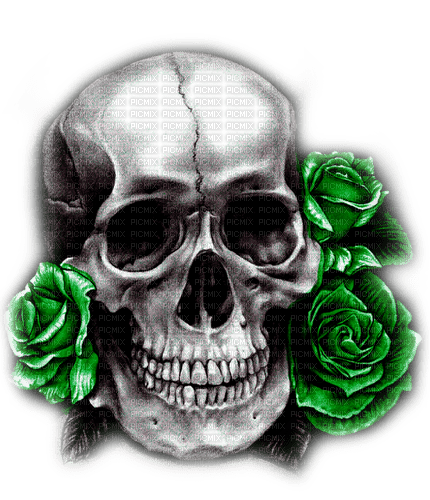 Skull.Roses.Black.White.Green - By KittyKatLuv65 - zdarma png