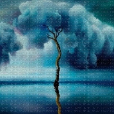 Cloud Tree - png gratis
