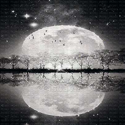 soave background animated  moon night black white - GIF animé gratuit