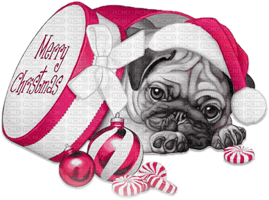 soave animals dog christmas winter black white - PNG gratuit