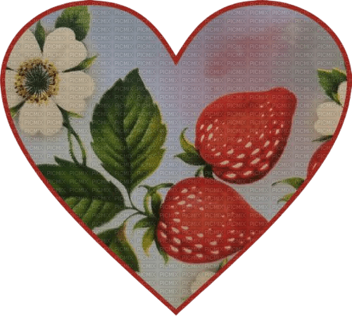 heart with strawberries - bezmaksas png