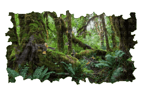 Forest Trees - Безплатен анимиран GIF