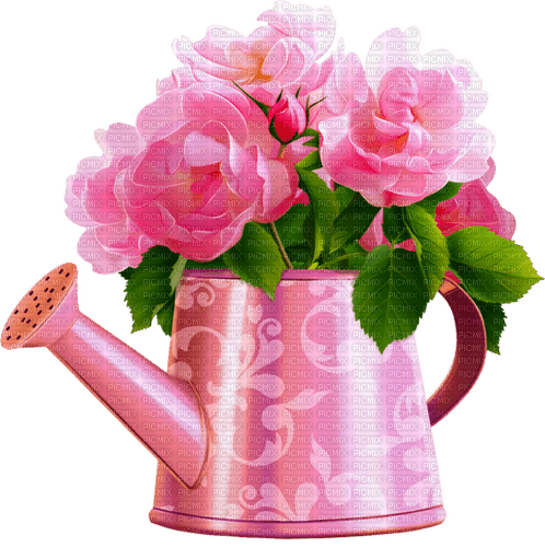 Watering.Can.Roses.Pink - darmowe png