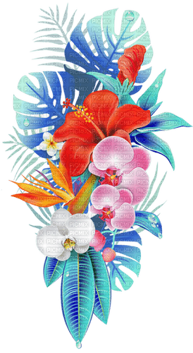 tropical flowers Bb2 - darmowe png