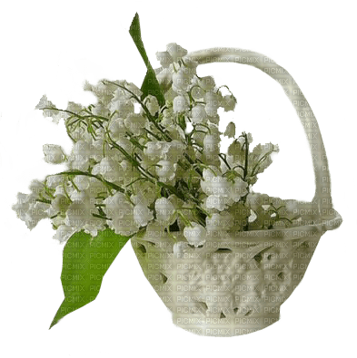 flowers lily of the valley bp - png ฟรี