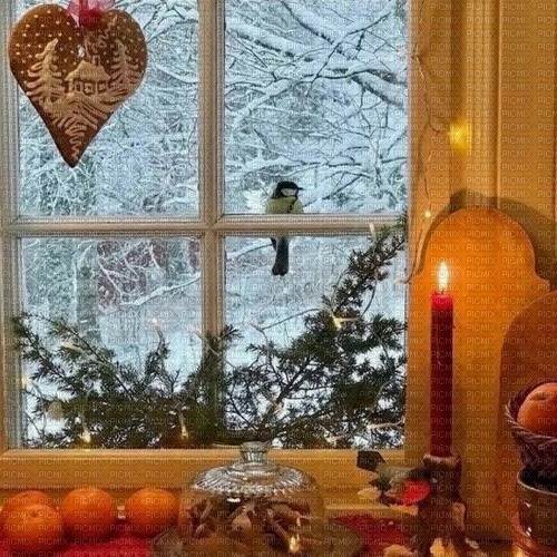 background, hintergrund, winter, window, room - zdarma png