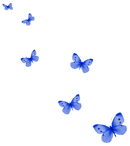 Animated.Butterflies.Blue - By KittyKatLuv65 - Бесплатный анимированный гифка