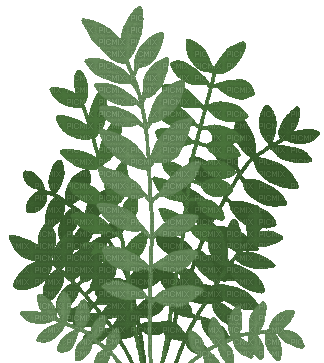 plant - Darmowy animowany GIF